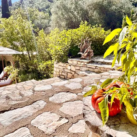 Eva With Private Pool By Dadovillas Villa Agni