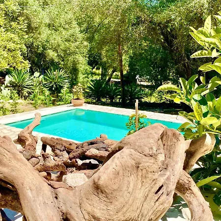 Eva With Private Pool By Dadovillas